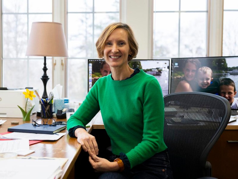 A person in a green sweater sits at a desk with papers, glasses, a lamp, a yellow flower, and dual monitors showing photos, with large windows behind.