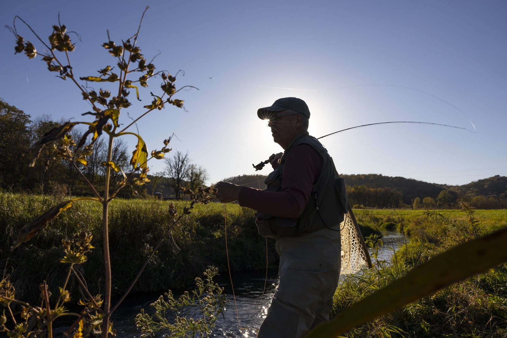 A person stands next to a stream holding a fishing rod and net, silhouetted against the sun with grassy banks and trees in the background.