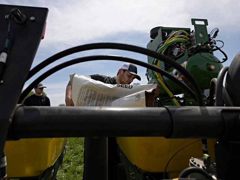 A person wearing a cap pours seed from a large bag into farm equipment while another person stands nearby in a field.