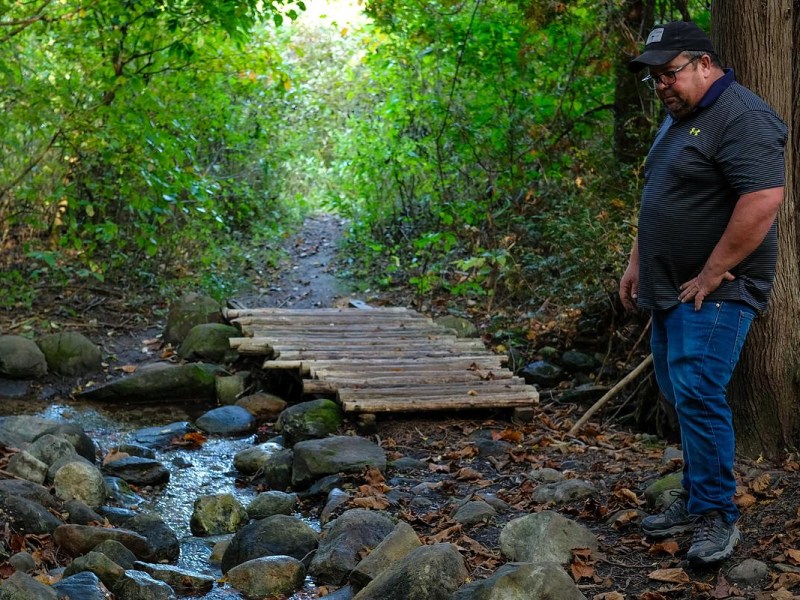 A man stands next to a creek and a small foot bridge of logs while surrounded by forest.