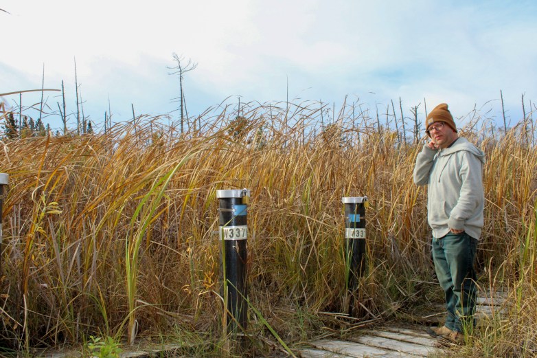 A person wearing a knit hat and hoodie stands on a boardwalk in tall light brown grasses beside numbered black posts under a cloudy sky.
