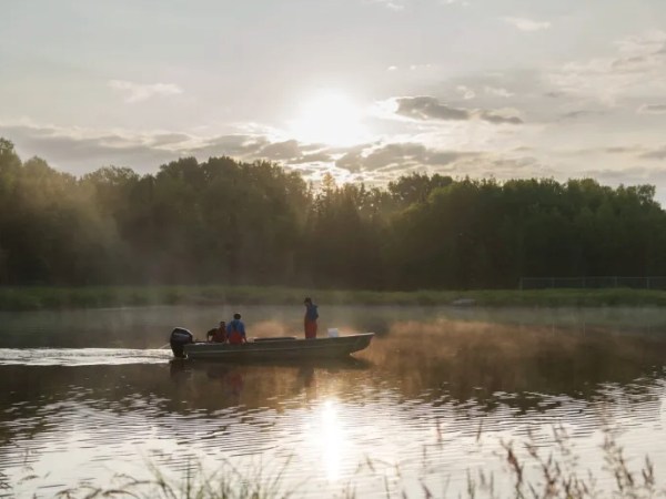 Time running out for Great Lakes whitefish. Can ponds become their Noah’s Ark?