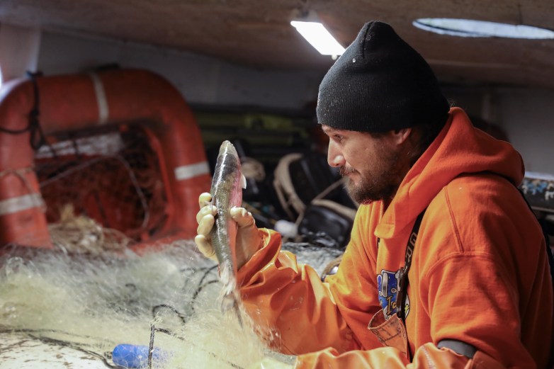 A fisherman looks at the fish he is holding.