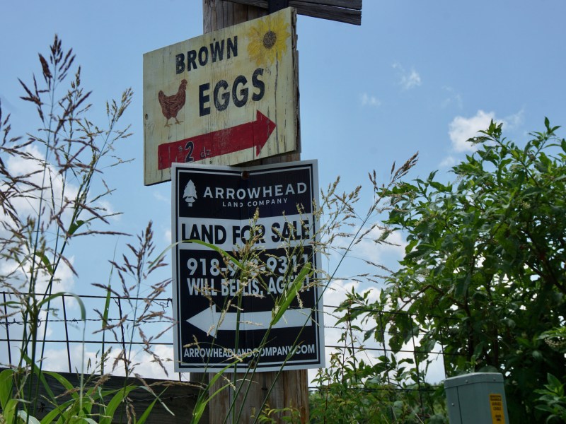 A sign for "BROWN EGGS" is on a post above a "LAND FOR SALE" sign.