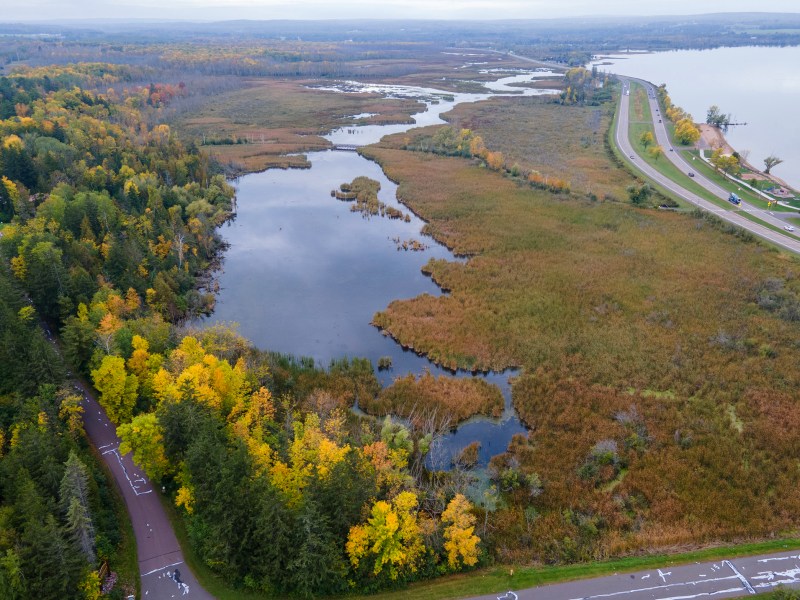 Aerial view of wetland area