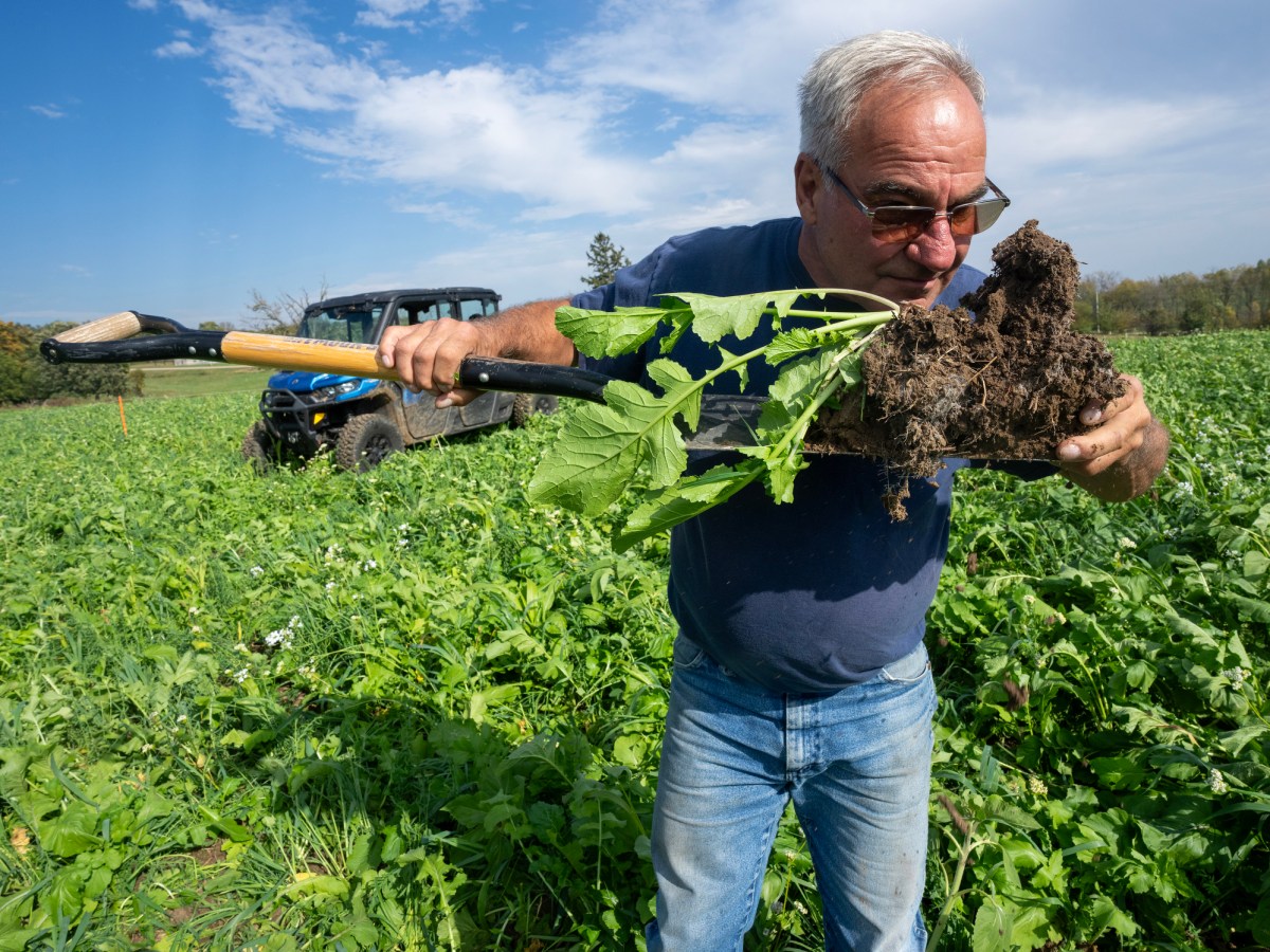 A person holds a shovel that is holding a leafy plant with roots and soil attached in a green field, with a vehicle parked in the field in the background under a blue sky with some clouds.